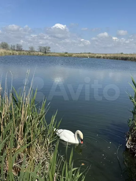 Участок 6 сот. (СНТ, ДНП) - Фото 0
