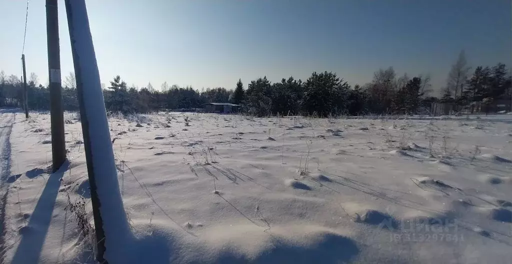 Участок в Ленинградская область, Приозерский район, Красноозерное ... - Фото 1