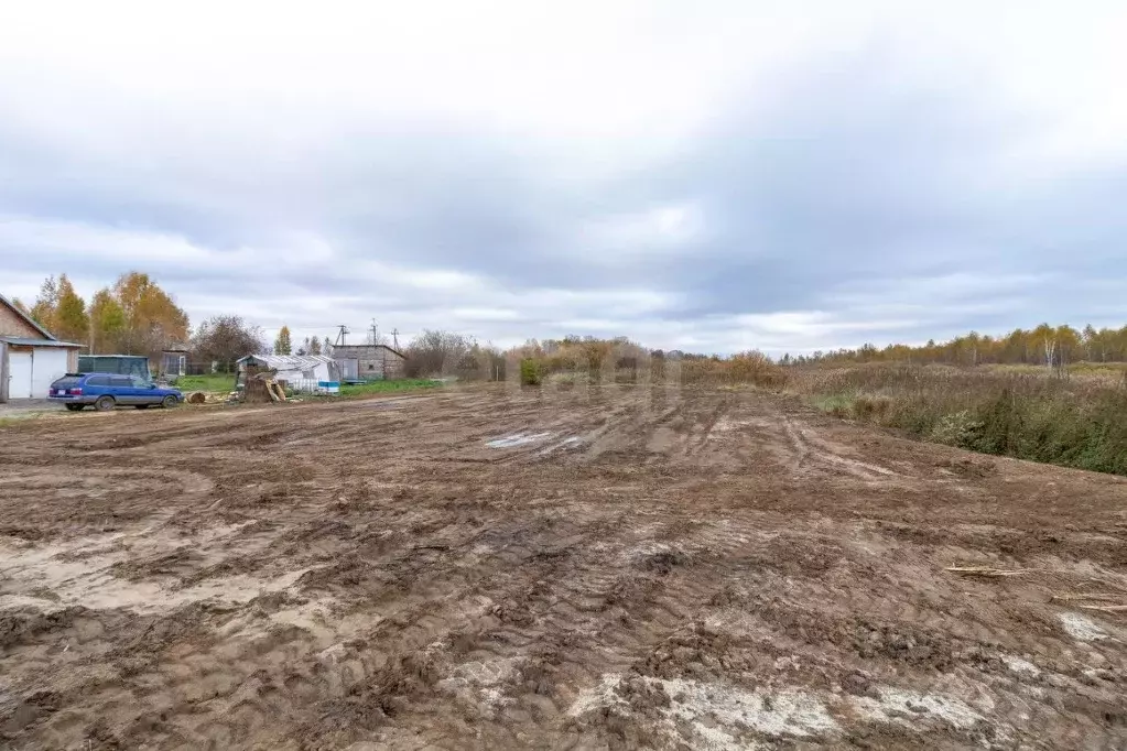 Участок в Тюменская область, Тюмень Якорь садовое товарищество, ул. ... - Фото 1