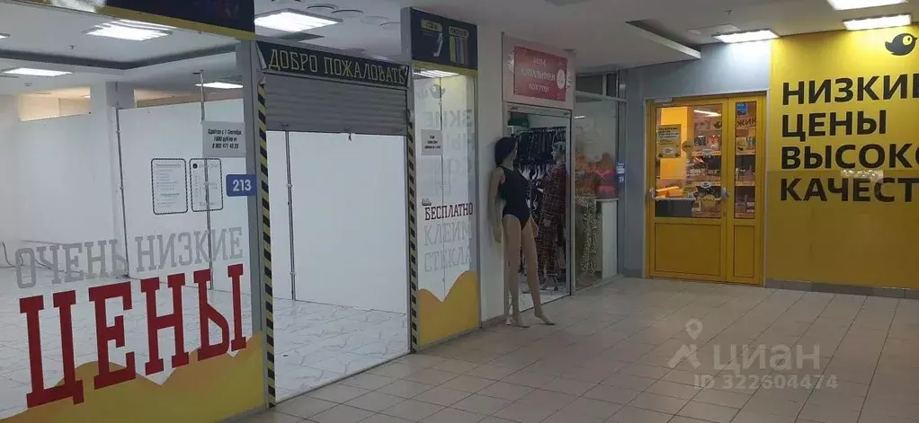 Торговая площадь в Пермский край, Пермь ул. Ленина, 88 (47 м) - Фото 2