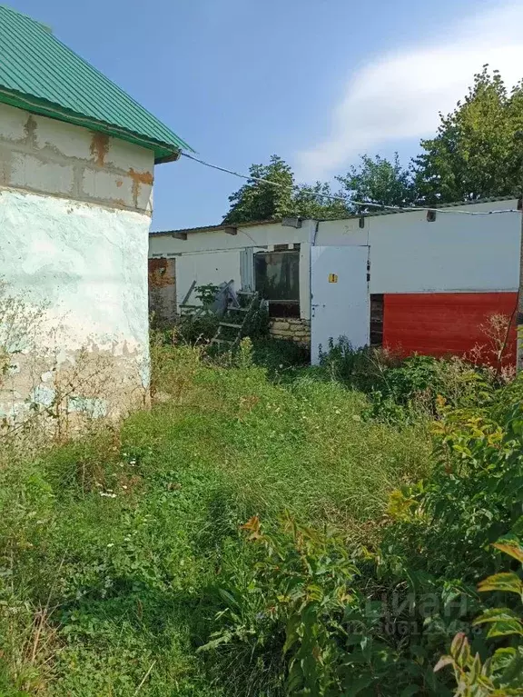 Дом в Липецкая область, Елецкий район, Волчанский сельсовет, д. ... - Фото 1