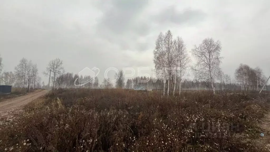 Участок в Тюменская область, Нижнетавдинский муниципальный округ, с. ... - Фото 1