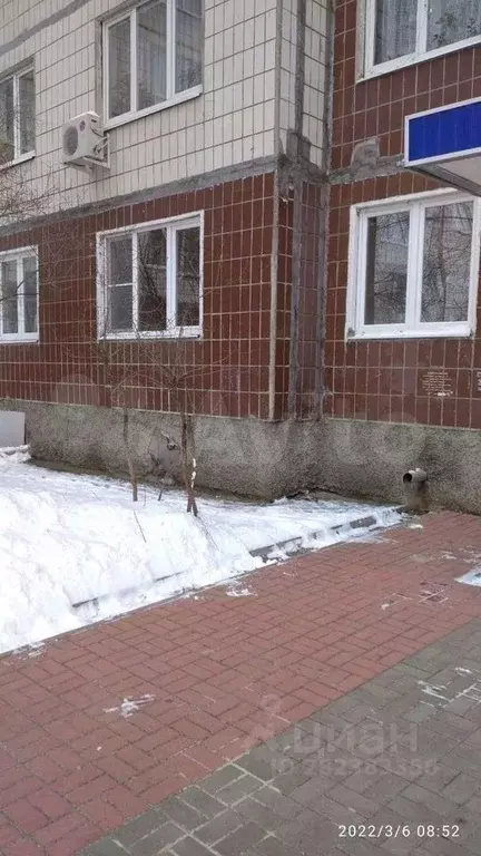 3-к кв. Белгородская область, Старый Оскол Королева мкр, 35 (63.1 м) - Фото 0