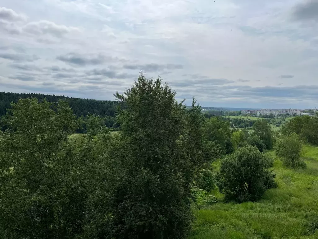 3-к кв. Пермский край, Березники ул. Мира, 128 (58.4 м) - Фото 2