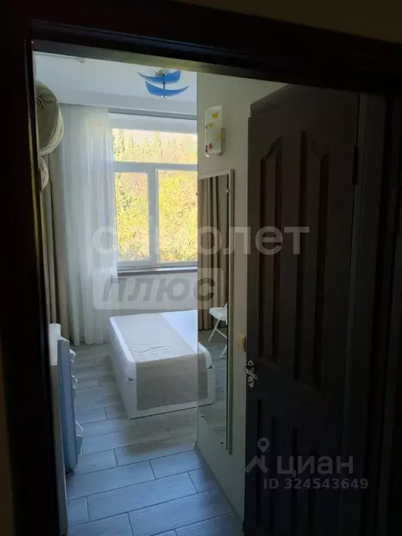 Студия Крым, Ялта муниципальный округ, Симеиз пгт ул. Владимира ... - Фото 1