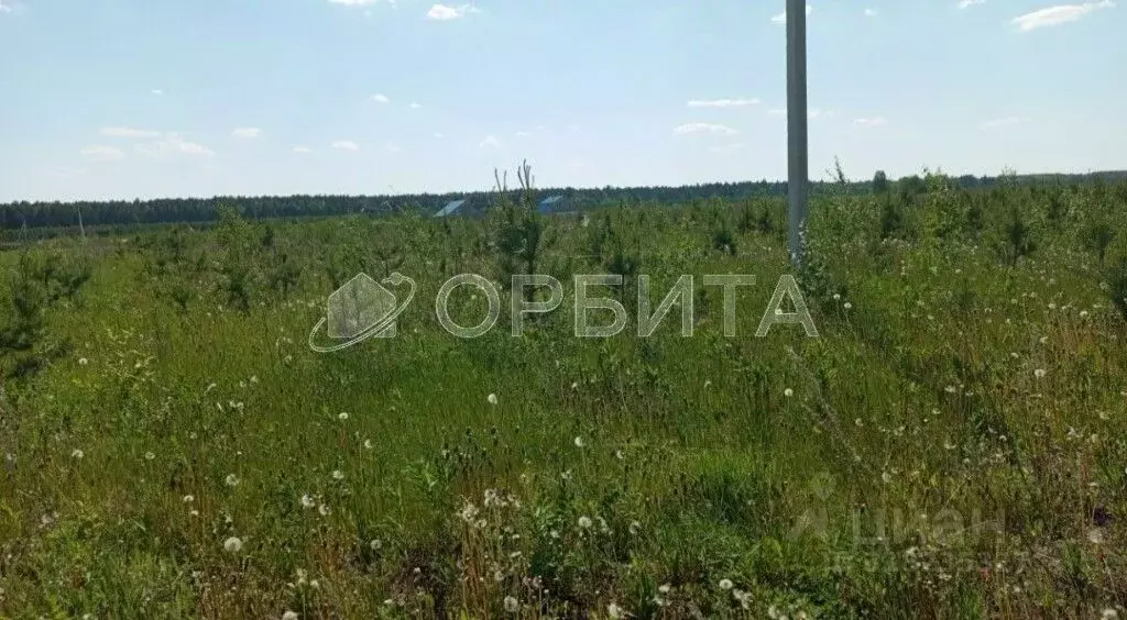 Участок в Свердловская область, Тугулым пгт пл. 50-летия Октября (15.6 ... - Фото 0