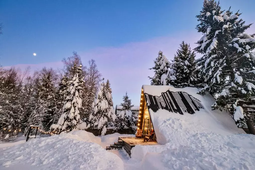 Дом в Москва № 147 кв-л, 204 (40 м) - Фото 1