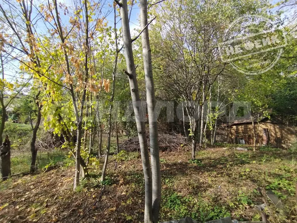 Участок в Ростовская область, Ростов-на-Дону Садовод-Любитель садовое ... - Фото 1