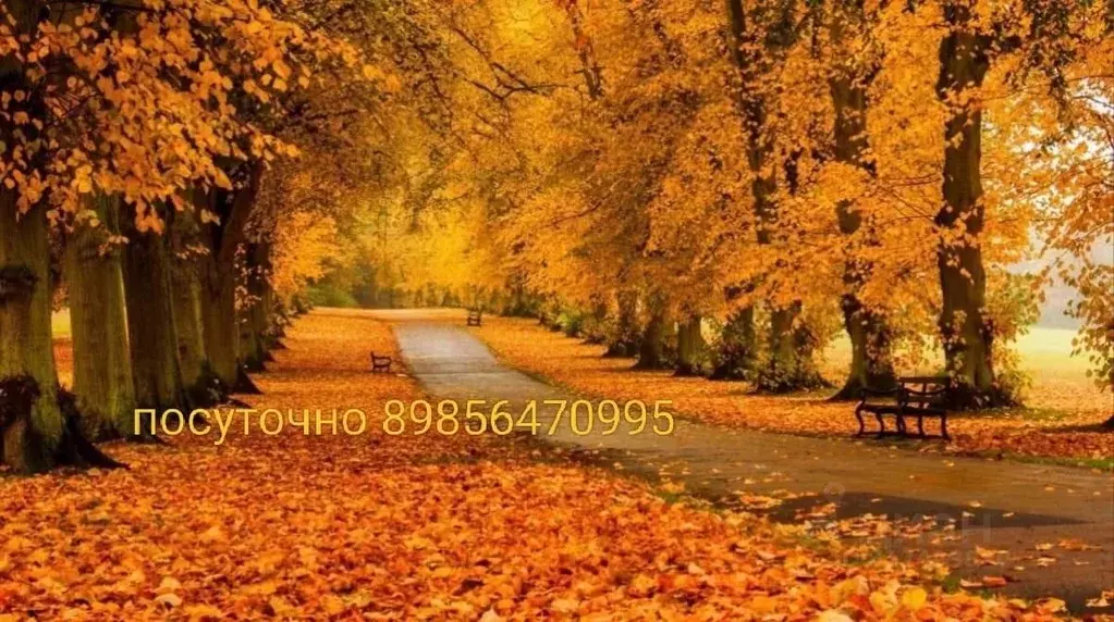 Дом в Московская область, Химки городской округ, д. Поярково ул. Новая ... - Фото 2