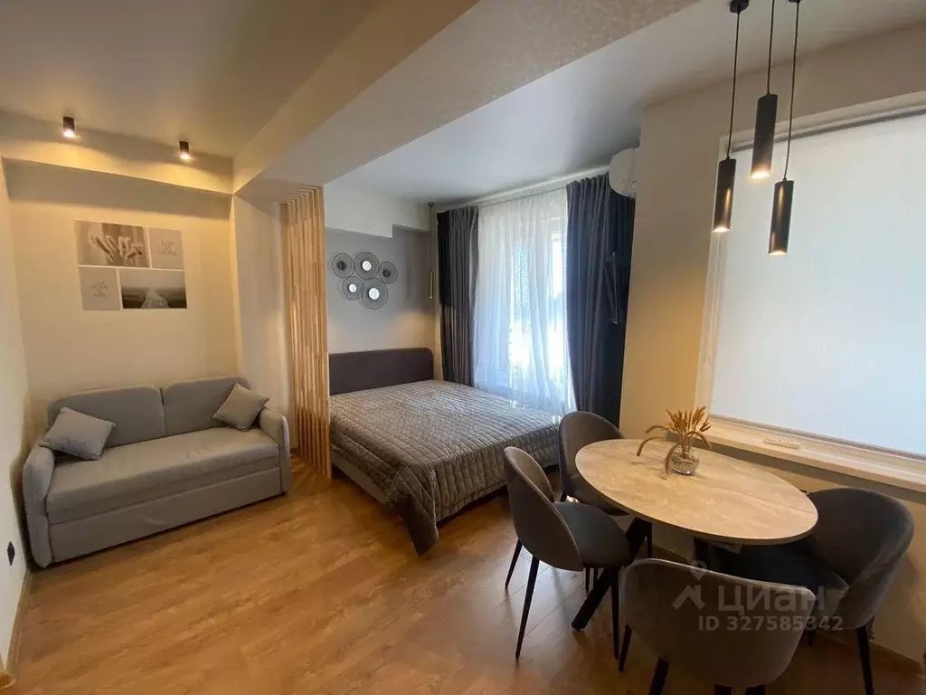 Студия Краснодарский край, Сочи городской округ, Дагомыс пгт ул. ... - Фото 2