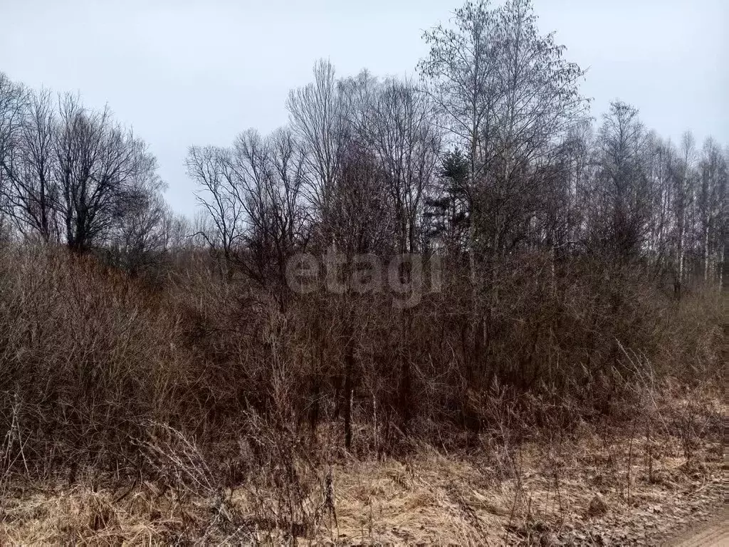 Участок в Псковская область, Куньинский район, Каськовская волость, д. ... - Фото 1