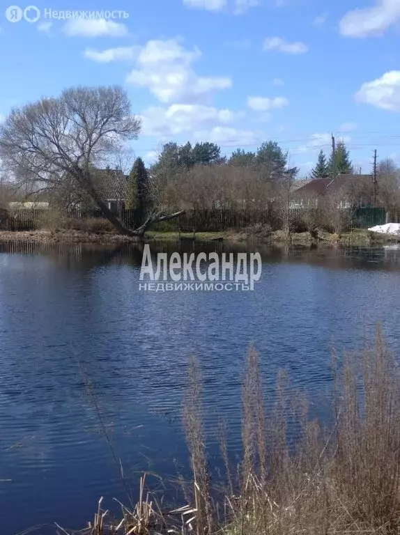 Участок в Ям-Тёсовское сельское поселение, деревня Надбелье (36 м) - Фото 0