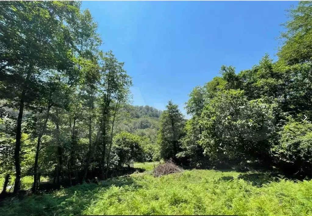 Участок в Краснодарский край, Сочи городской округ, с. Горное Лоо  ... - Фото 1