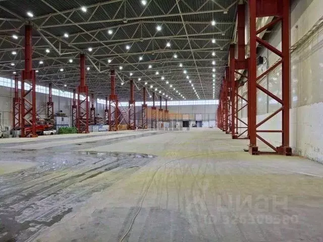 Склад в Московская область, Чехов муниципальный округ, с. Новоселки ... - Фото 1