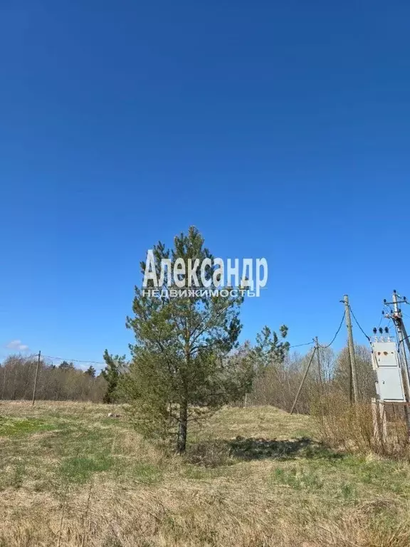 Участок в Ленинградская область, Приозерский район, Ларионовское ... - Фото 0