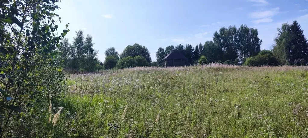 Участок в Московская область, Солнечногорск городской округ, д. Мостки ... - Фото 0