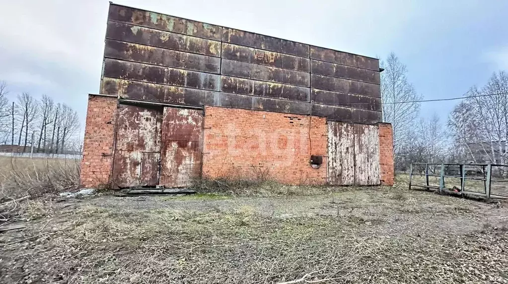 Склад в Чувашия, с. Батырево ул. Мичурина, 22 (765 м) - Фото 1