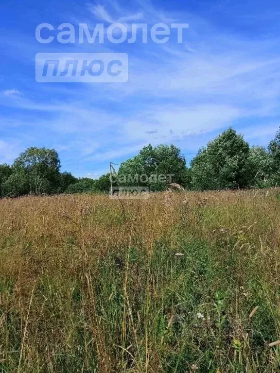 Участок в Вологодская область, Сокольский муниципальный округ, с. ... - Фото 0