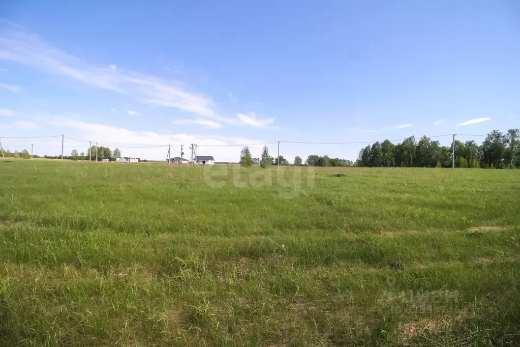 Участок в Алтайский край, Первомайский район, с. Фирсово, Полесье мкр  ... - Фото 1