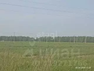 Участок в Костромская область, Кострома  (20.0 сот.) - Фото 0