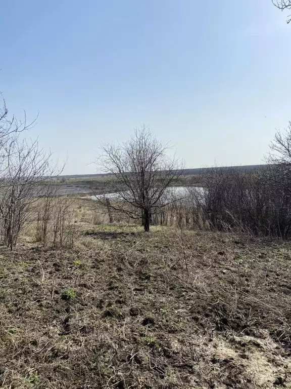 Участок в Саратовская область, пос. Дубки ул. Фабричная (12.0 сот.) - Фото 0
