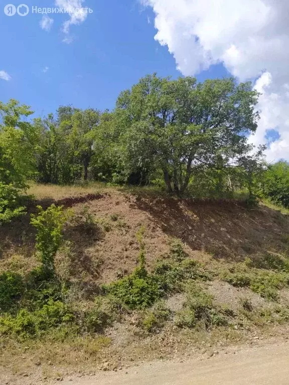 Участок в Малореченское, улица Рамазанова (7.3 м) - Фото 2