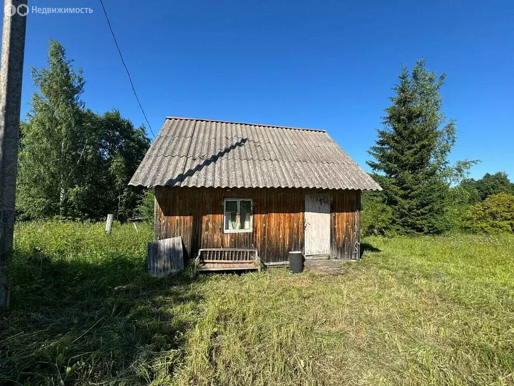 Участок в Новгородская область, Хвойнинский муниципальный округ, ... - Фото 1