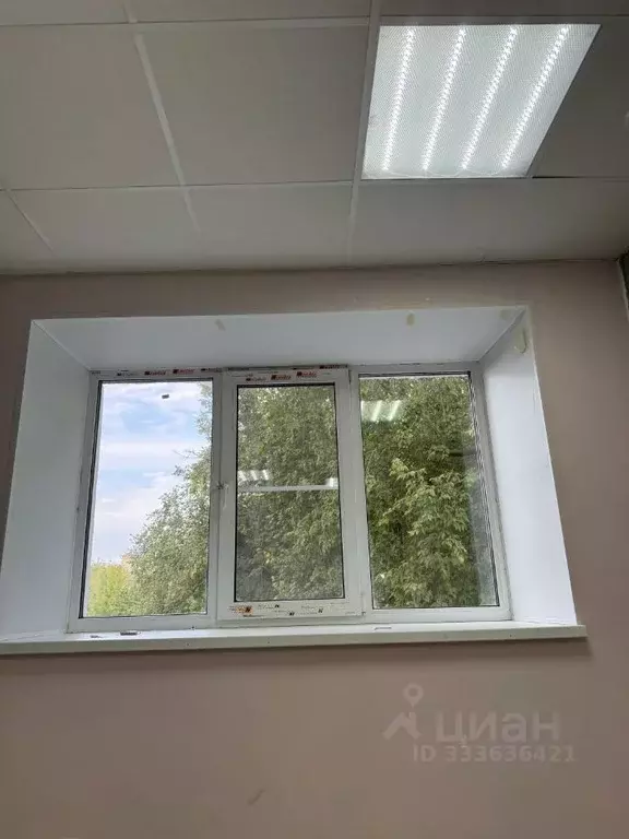 Помещение свободного назначения в Ярославская область, Рыбинск ... - Фото 1