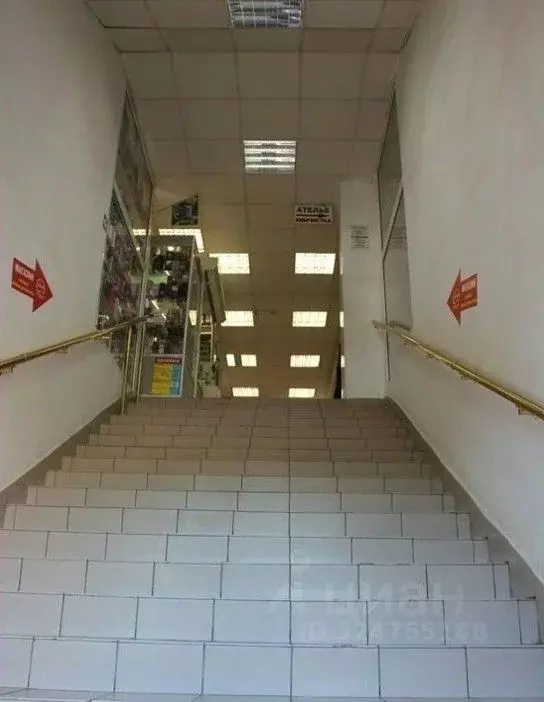 Помещение свободного назначения в Санкт-Петербург Пулковское ш., 3К1 ... - Фото 2