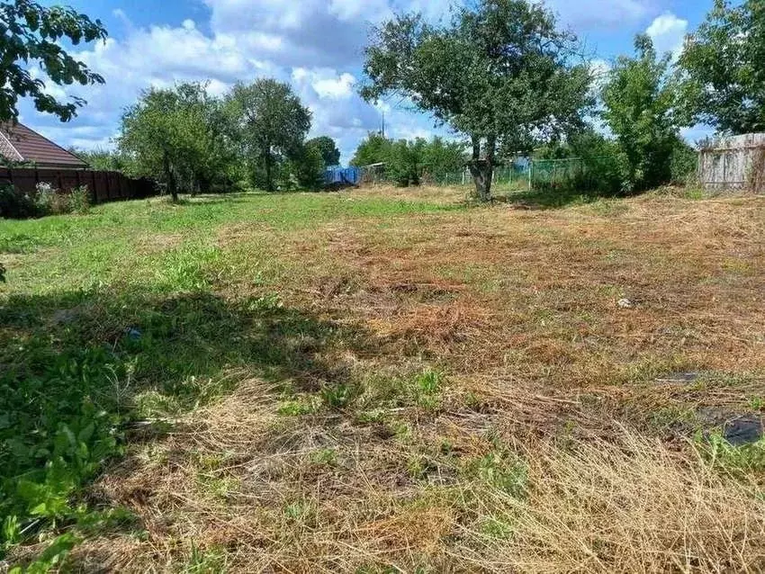 Участок в Брянская область, Брянский район, Супоневское с/пос, с. ... - Фото 2