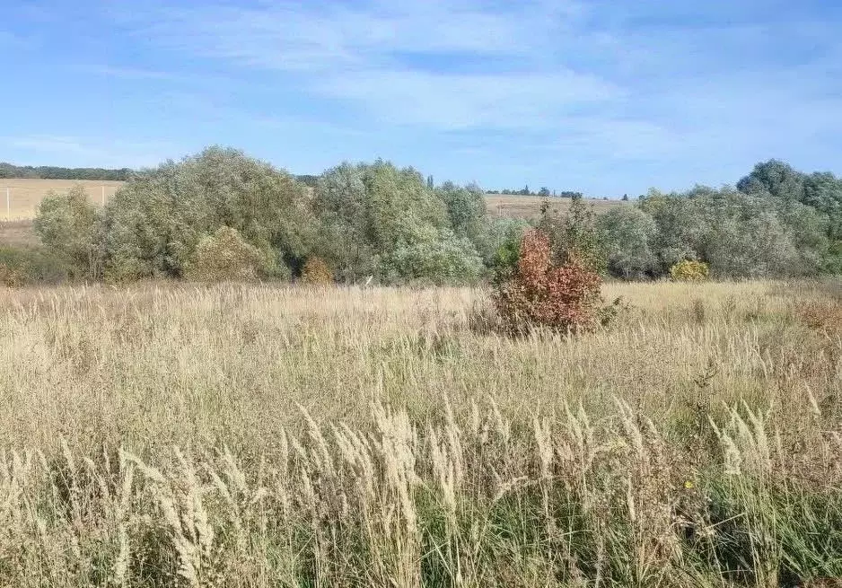 Участок в Воронежская область, Семилукский район, с. Девица  (10.0 ... - Фото 0