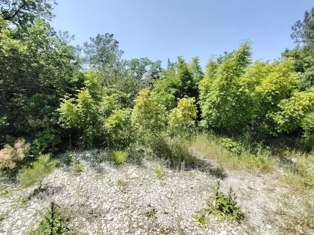 Участок в Краснодарский край, Геленджик  (7.39 сот.) - Фото 1