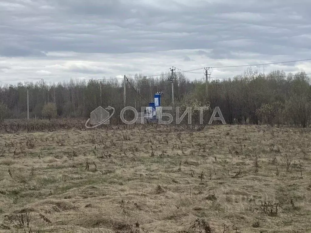 Участок в Тюменская область, Тюменский район, с. Горьковка Сибирская ... - Фото 1