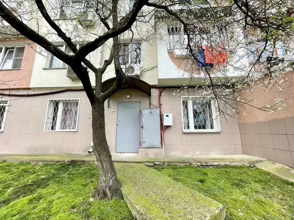 Помещение свободного назначения в Краснодарский край, Сочи Светлана ... - Фото 1