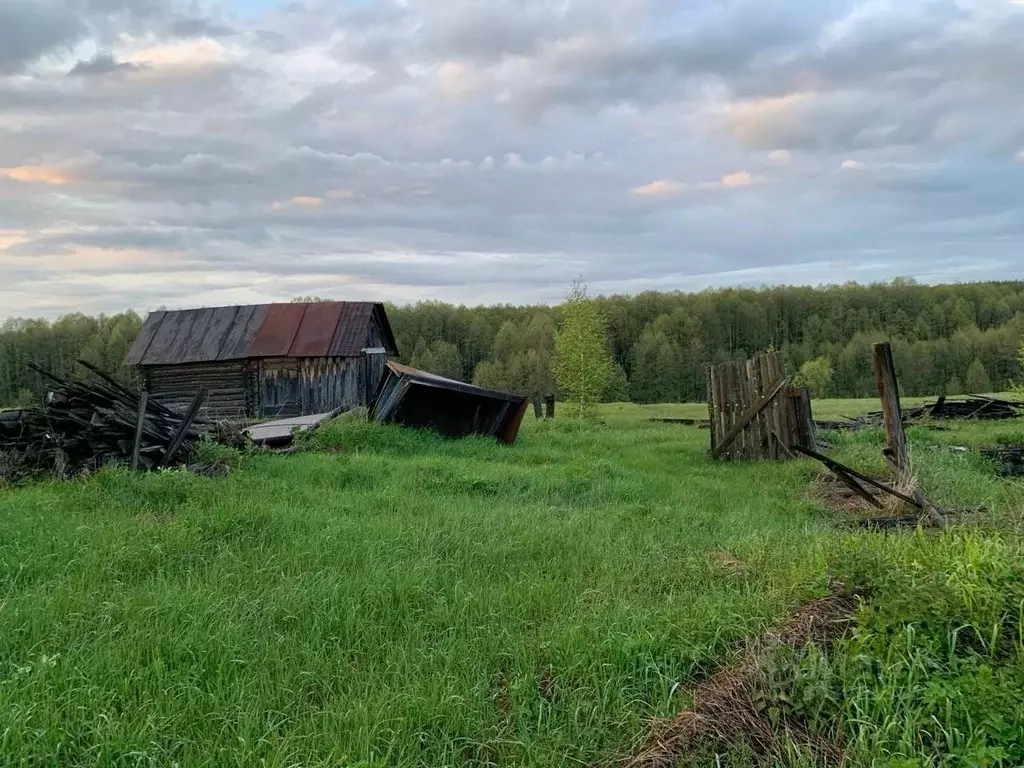 Участок в Владимирская область, Меленковский муниципальный округ, д. ... - Фото 0