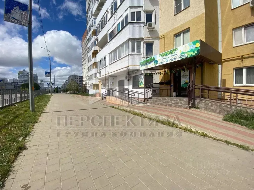 Офис в Краснодарский край, Новороссийск ул. Видова, 151 (93 м) - Фото 2