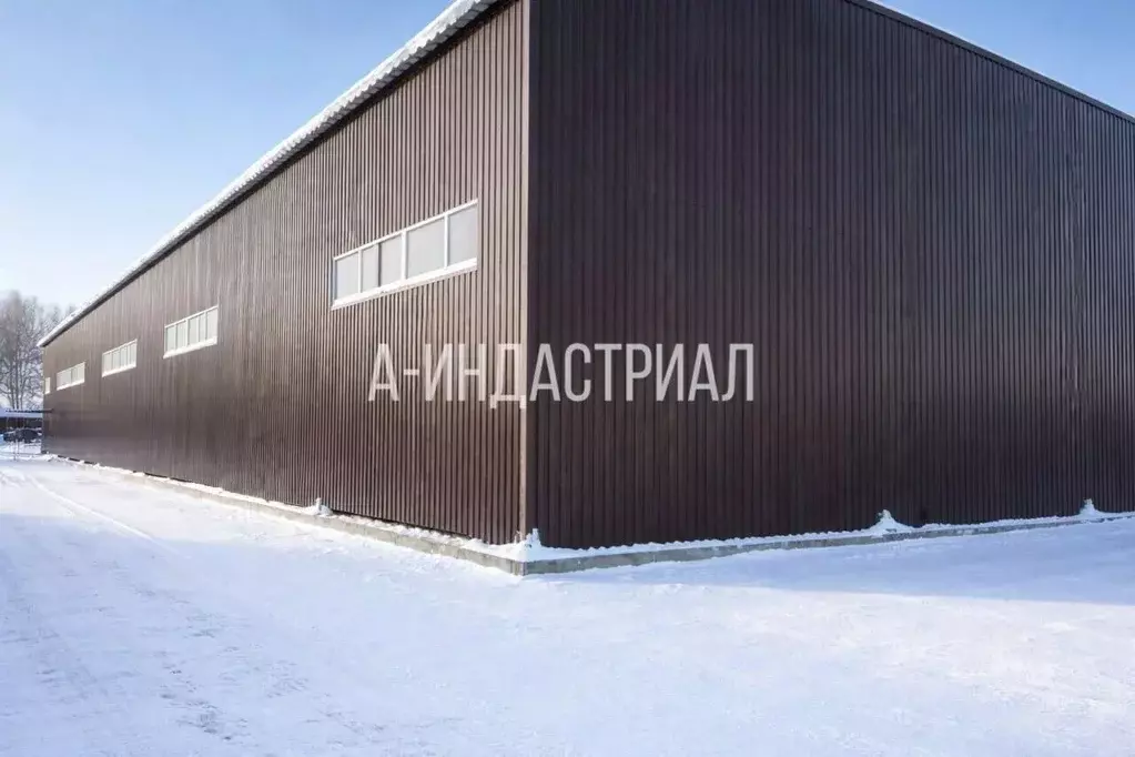 Склад в Московская область, Подольск городской округ, д. Коледино ул. ... - Фото 1