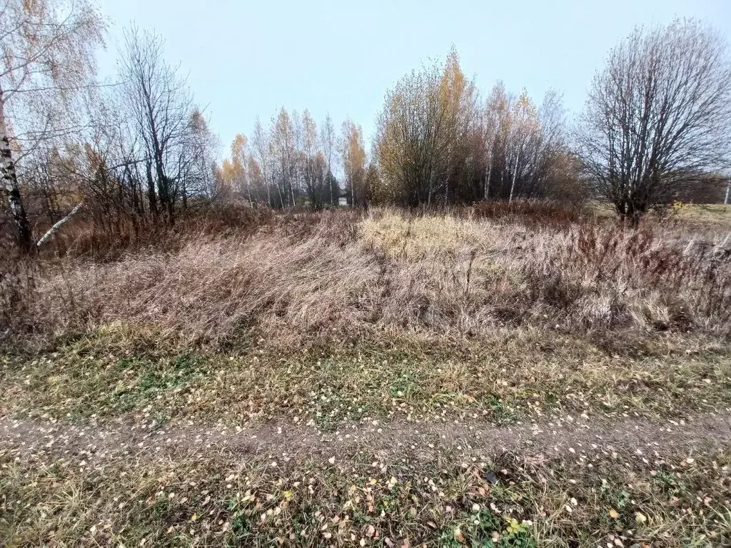 Участок в Московская область, Сергиево-Посадский городской округ, д. ... - Фото 1