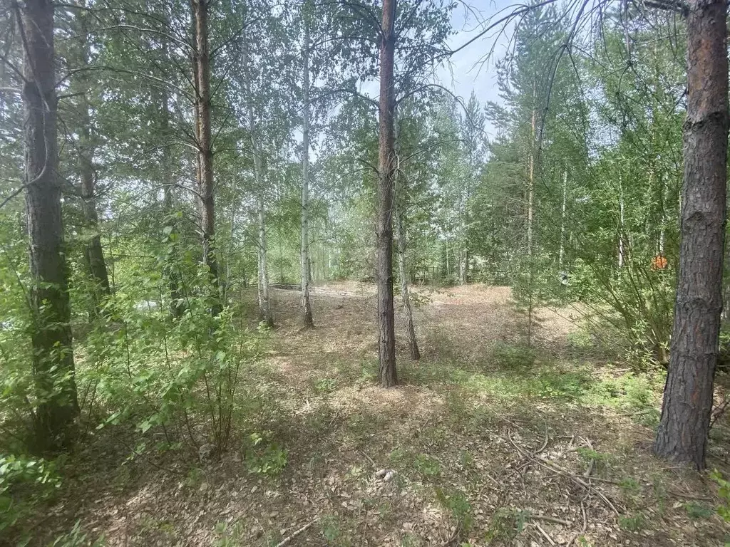 Участок в Иркутская область, Иркутский муниципальный округ, Маркова ... - Фото 2