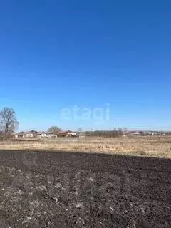 Участок в Белгородская область, Алексеевский городской округ, с. ... - Фото 0