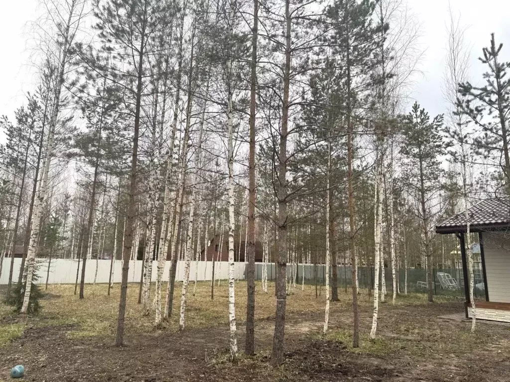 Дом в Ленинградская область, Гатчинский муниципальный округ, Ухта ... - Фото 1