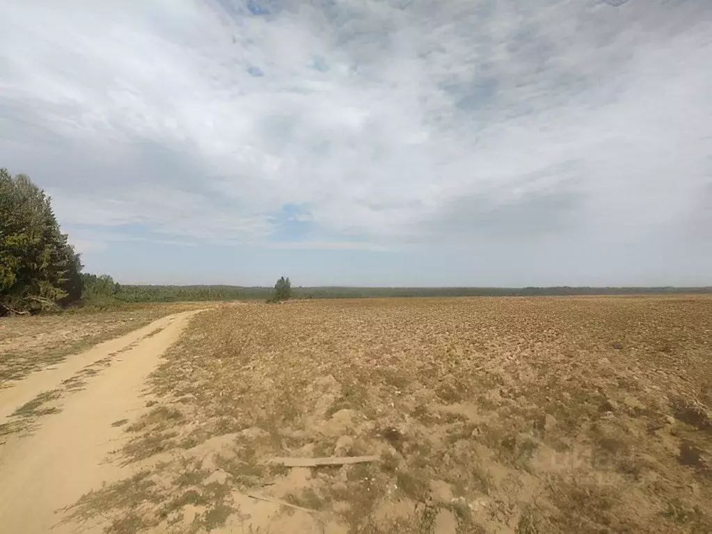Фото Садоводов Кировской Области