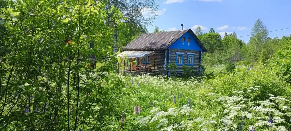 Дом в Новгородская область, Новгородский район, Ермолинское с/пос, ... - Фото 1