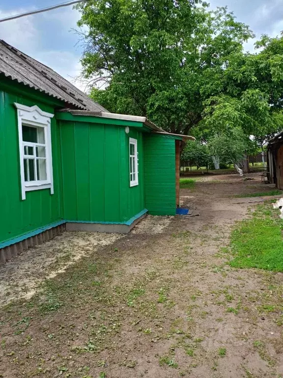 Дом в Воронежская область, Кантемировский район, с. Митрофановка ... - Фото 2