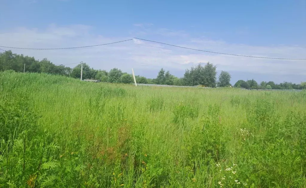 Участок в Московская область, Воскресенск городской округ, д. ... - Фото 2