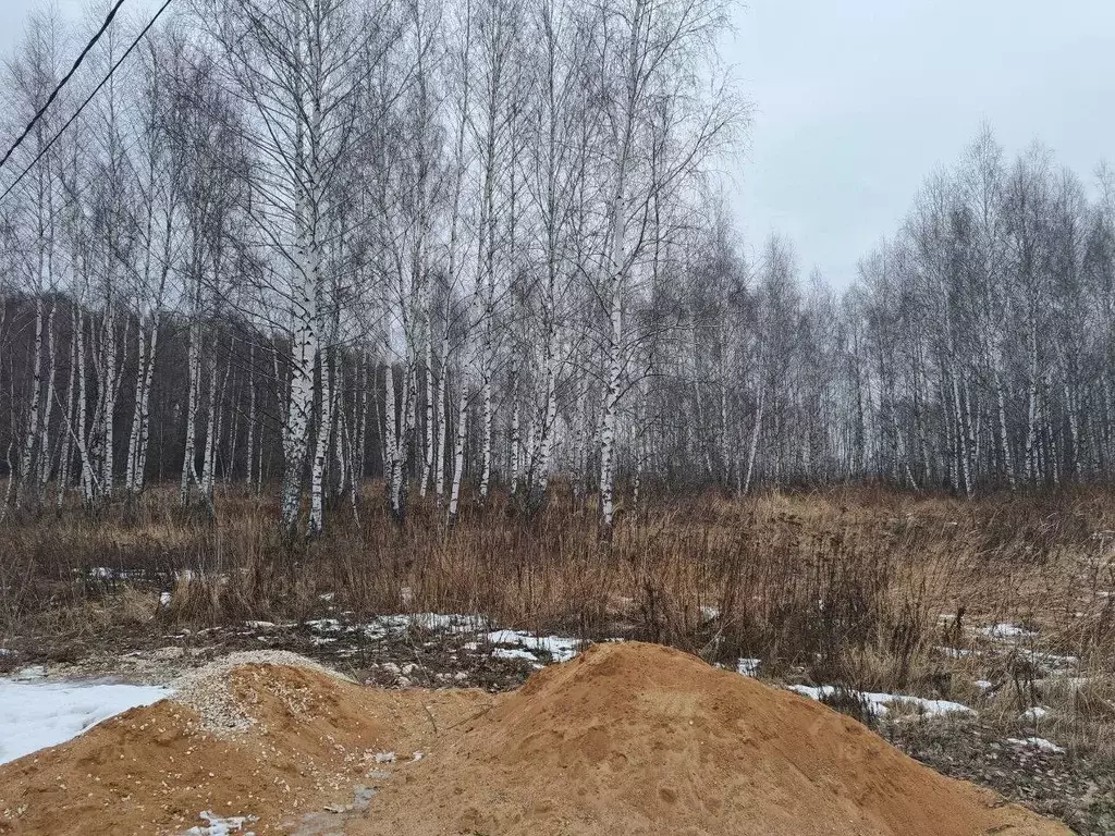 Участок в Московская область, Кашира Ожерелье мкр, ул. Березовая ... - Фото 0