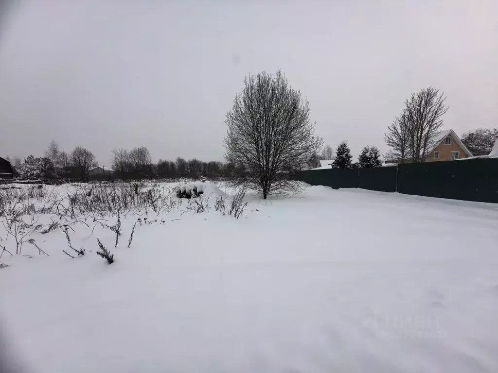 Участок в Московская область, Раменский муниципальный округ, с. ... - Фото 1