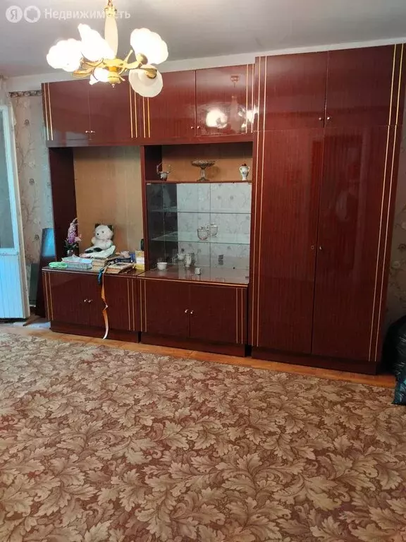 1-комнатная квартира: Краснодар, Уральская улица, 172 (33 м) - Фото 1