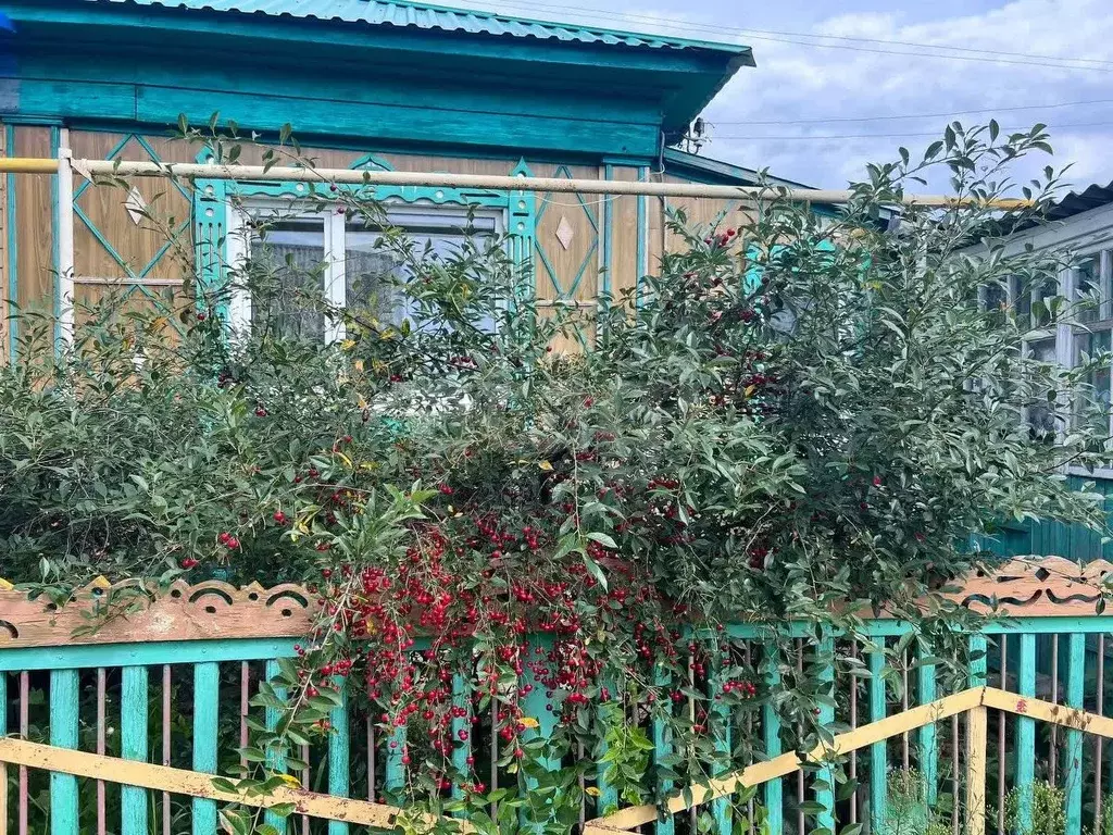 Дом в Курганская область, Курган Чернореченская ул. (93 м) - Фото 1
