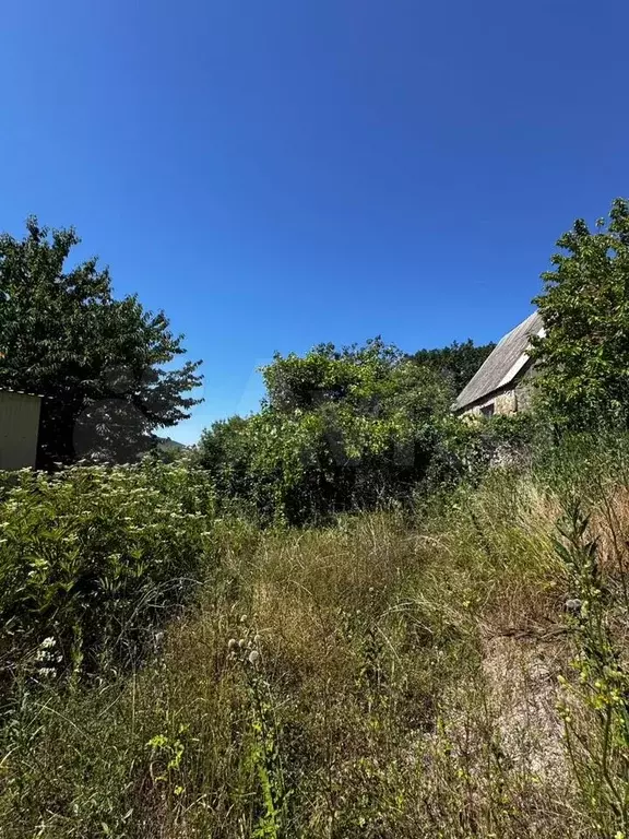 Участок 5,79 га (СНТ, ДНП) - Фото 1